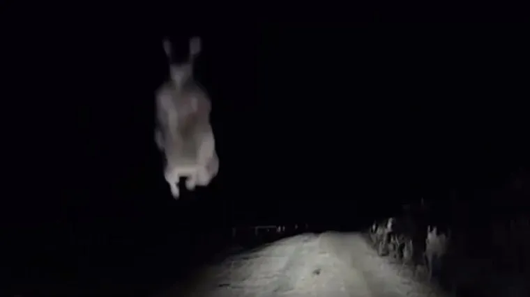 U atmosferi filmova strave jednom se vozaču ostvarila noćna mora