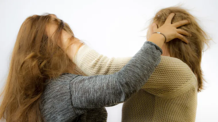 Ponovno tučnjava učenica u Varaždinu: starija djevojka razbijenom ča&scaron;om porezala mlađu