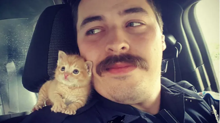 Spasio mačića, no jo&scaron; ljep&scaron;a stvar dogodila se kad je do&scaron;ao doma