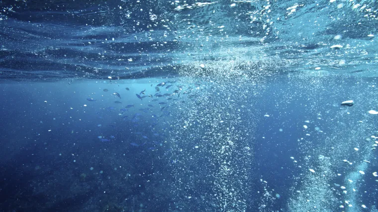 Oceani uskoro neće imati dovoljno kisika za održavanje morskog života