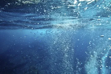 Oceani uskoro neće imati dovoljno kisika za održavanje morskog života