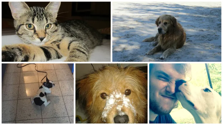 Od snijega do pje&scaron;čane plaže, ovo je najslađi pregled godi&scaron;njih doba