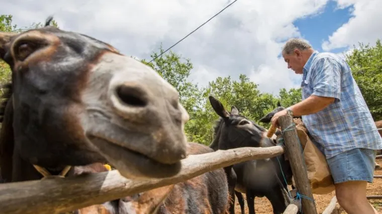 Može se dobro živjeti i u dru&scaron;tvu s magarcima
