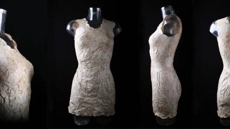 Uzgoj materijala nova modna revolucija: pogledajte haljine od gljiva - lagane, nepromočive i otporne na vatru