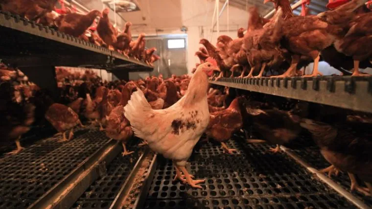 'Izbjegavamo piti vodu, a neki nose i pelene'