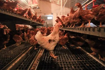 'Izbjegavamo piti vodu, a neki nose i pelene'