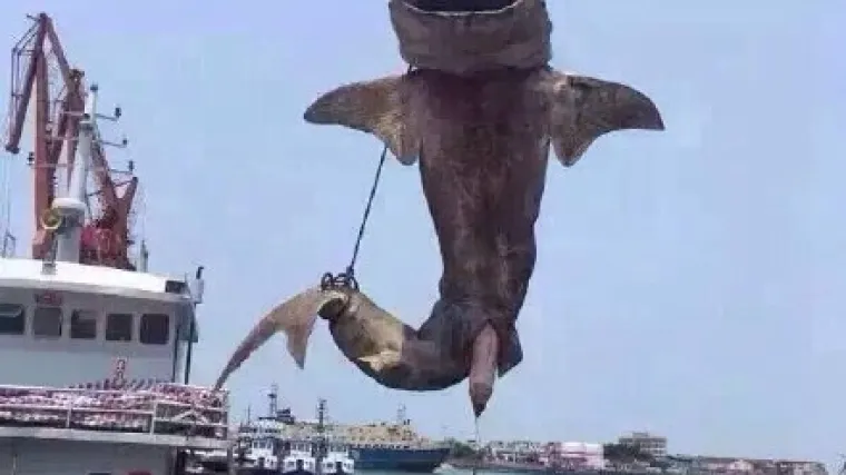 'To je bio na&scaron; stari prijatelj, stalno nas je posjećivao'