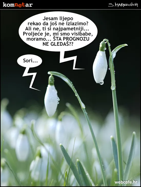 Predivan dan... ako ste ki&scaron;na glista