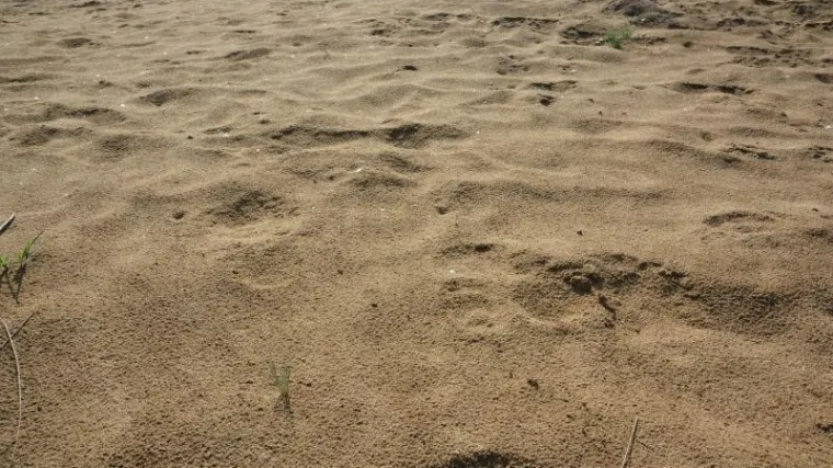 Ovo postaje najvrjedniji resurs, nakon nafte i vode