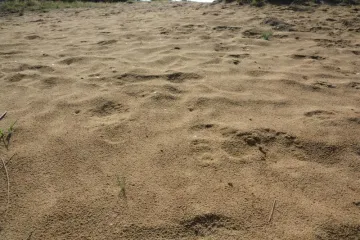 Ovo postaje najvrjedniji resurs, nakon nafte i vode