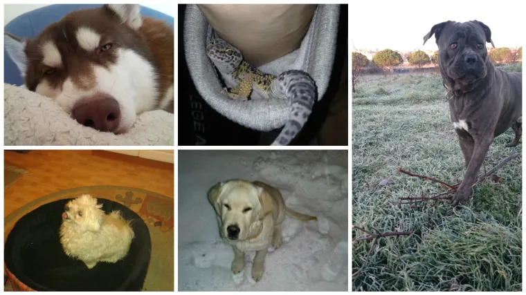 U dana&scaron;njoj petorki imamo pravog asa u rukavu