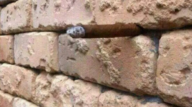 Jo&scaron; jedna fotografija zaludjela svijet &ndash; &scaron;to je to među ciglama?