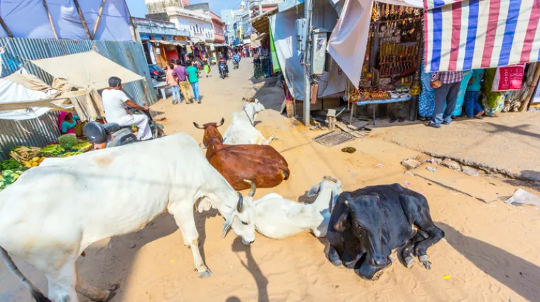 Nevjerojatno visoka temperatura izmjerena u jednom indijskom gradu