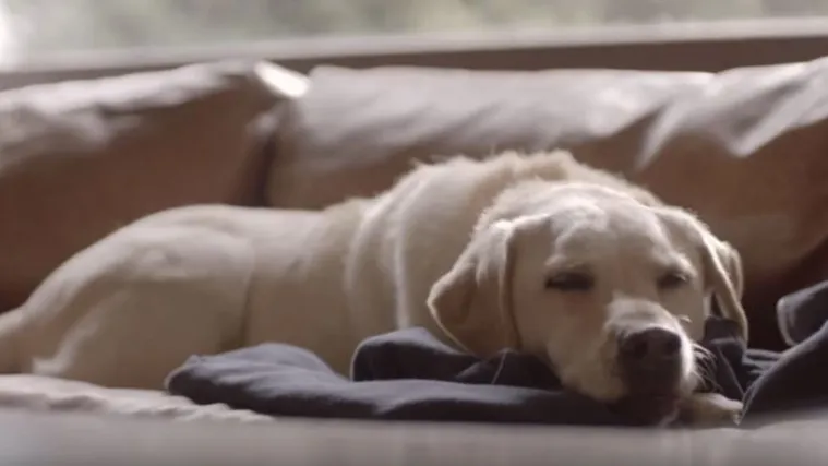 Već dugo nismo vidjeli ovako snažnu reklamu protiv vožnje u pijanom stanju