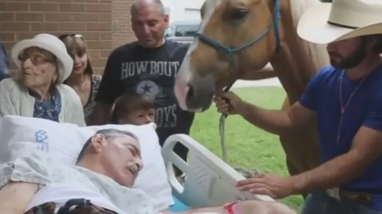 Ostalo mu je nekoliko dana života, a s njim su se oprostili njegovi prijatelji - konji