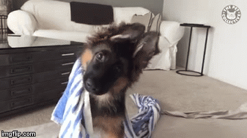 Cijeli dan ćete biti dobre volje zbog njih