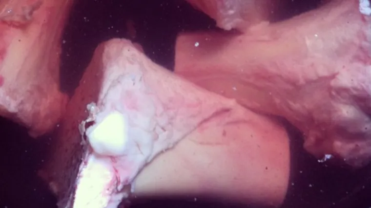 Možda vam izgleda odvratno, ali ova juha je prava delicija