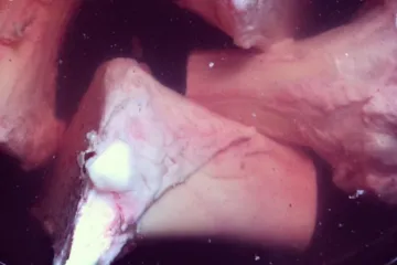 Možda vam izgleda odvratno, ali ova juha je prava delicija