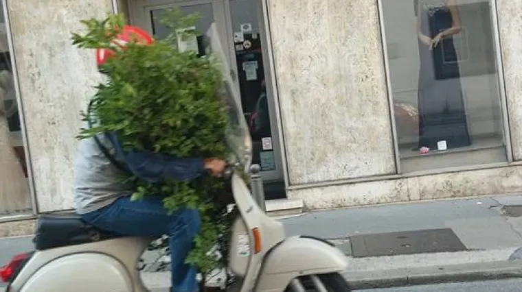 Riječani u čudu gledali &scaron;to njihov sugrađanin prevozi na skuteru