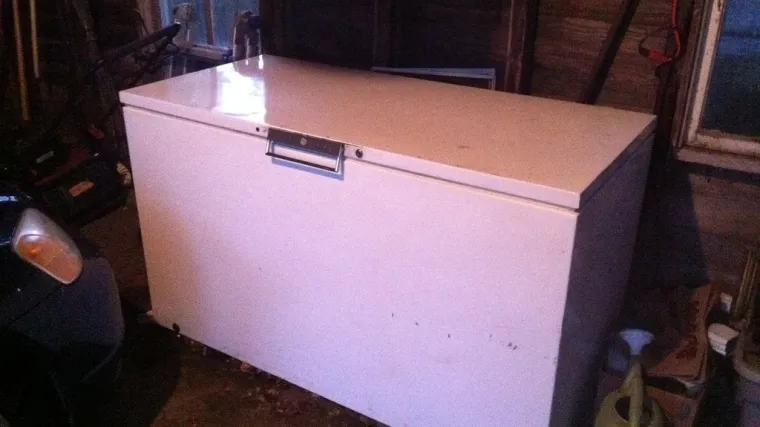 Kupila zamrzivač i u njemu prona&scaron;la tijelo nekada&scaron;nje susjede