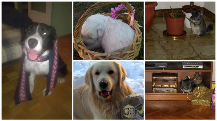 Neki su se za Euro pripremali jo&scaron; usred zime...