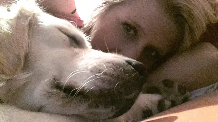 Najbolji čovjekov prijatelj u svom najljep&scaron;em izdanju