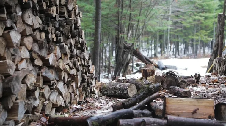 Nova tragedija dogodila se u &scaron;umi kod Jasenka &ndash; poginuo 30-godi&scaron;njak