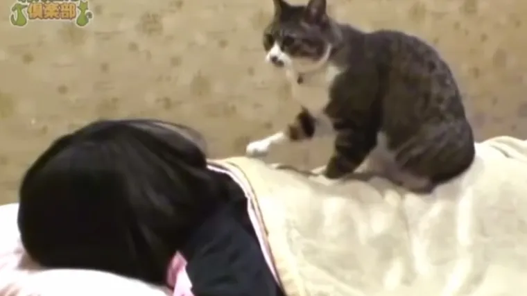 Stvarno su zaposlili macu da bude maserka