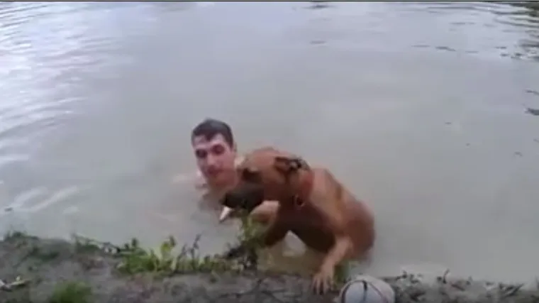 Rasplakat ćete se kada shvatite za&scaron;to mu pas ne pu&scaron;ta ruku