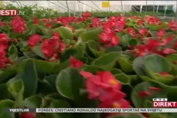 Ova &scaron;kola u Slavonskom Brodu ne čeka kurikularnu reformu, oni su je izmislili