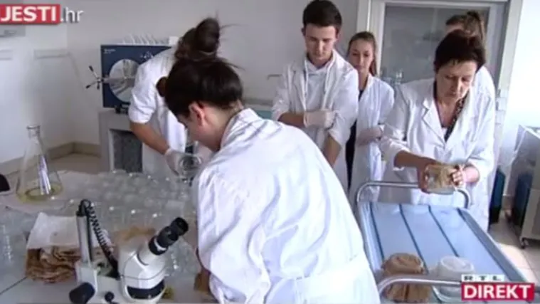 Ova hrvatska &scaron;kola ne čeka kurikularnu reformu, ona ju je izmislila