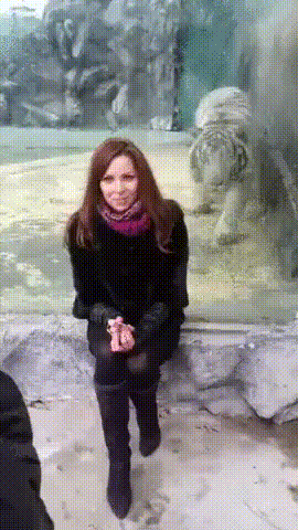 Velike mace vole velike zagrljaje