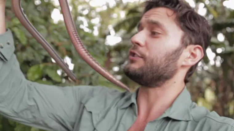 Gliste k'o gliste, rekli bi. Dok ne vidite ovog diva