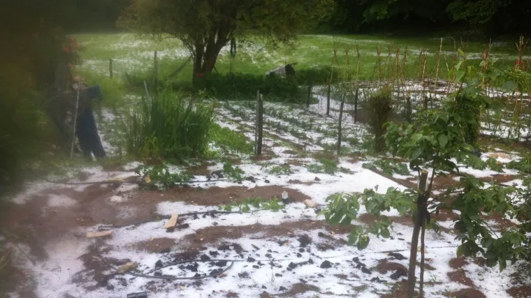 Pazin&scaron;tinu poharala tuča, ekstremna ki&scaron;a izazvala bujice