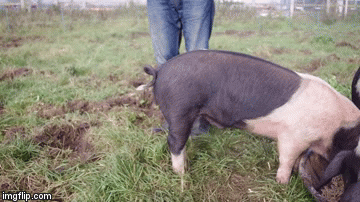 Postoji jednostavan trik kojeg sigurno niste znali