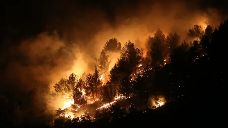 Požar u zaleđu Skradina jo&scaron; nije pod kontrolom: vatrogasci obranili kuće u posljednjem trenutku