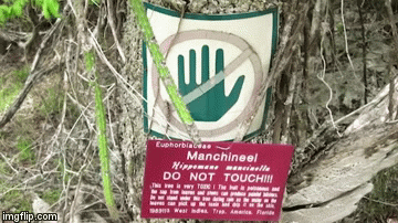 Može vas ubiti na nekoliko stravičnih načina