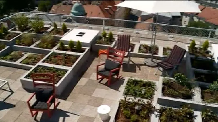 Urbani vrtovi pravi su hit: otkrivamo na &scaron;to paziti prilikom uzgoja na balkonu