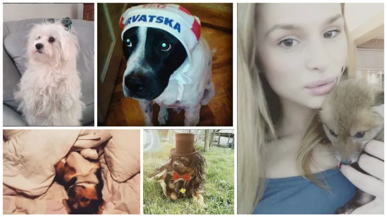 Sigurni smo da Vatreni nikad nisu imali slađe navijače