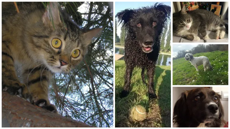 Tu su sporta&scaron;i, intelektualci, boemi...