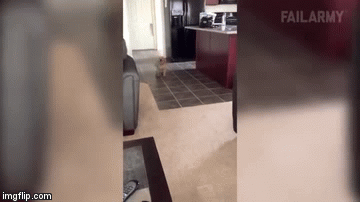 Ovi psi toliko su &scaron;a&scaron;avi da će vam popraviti dan