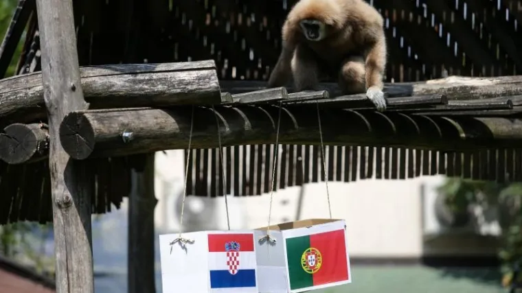 Pogledajte kojim će ishodom zavr&scaron;iti dvoboj Hrvatske i Portugala