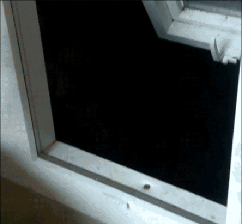 Prizor koji nitko ne želi vidjeti