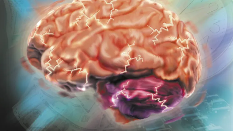 Veličina mozga nije bitna koliko način na koji se koristi