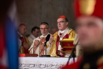 'Vraćamo se Drugom svjetskom ratu i poraću, fašizmu i onome što se predstavlja pod pojmom antifašizma'