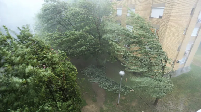 Posljedice olujnog nevremena u Osijeku: poplavljene ceste, sru&scaron;ena stabla, o&scaron;tećeni automobili...