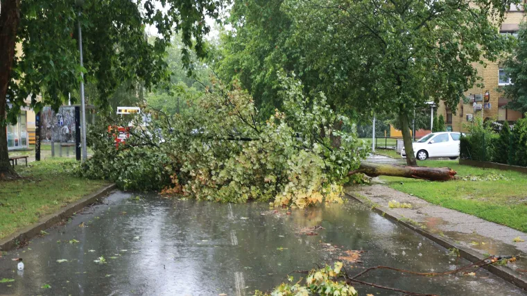 Nevrijeme u Hrvatskoj i susjednim državama: u Slavoniji uni&scaron;teni usjevi, Sarajevo pod vodom