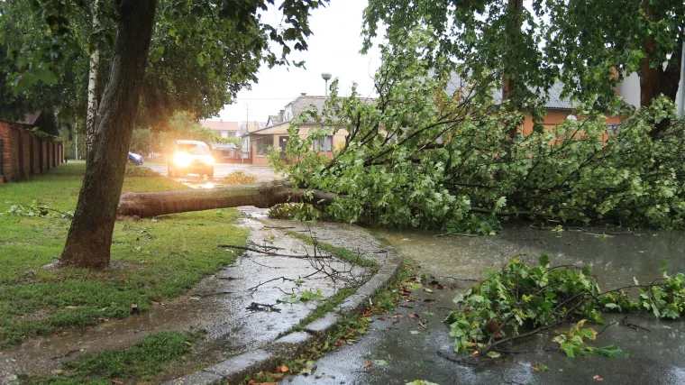 Osječani, evo kome trebate prijaviti &scaron;tete od nevremena