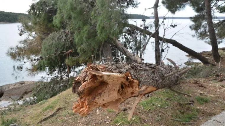 Ozlijeđeno dvoje djece, o&scaron;tećeni automobili