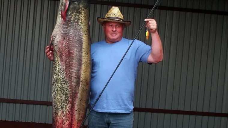 Soma te&scaron;kog 51 kg i dugog vi&scaron;e od dva metra izvukao iz Drave kod Ludbrega